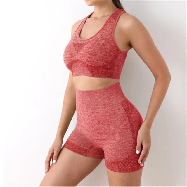 2 Piece Sports Bra + Yoga Shorts