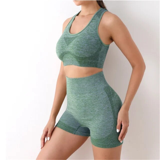 2 Piece Sports Bra + Yoga Shorts